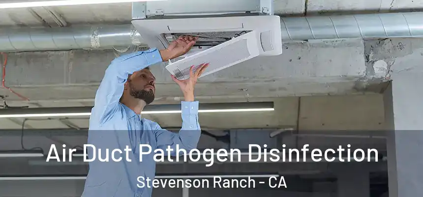 Air Duct Pathogen Disinfection Stevenson Ranch - CA