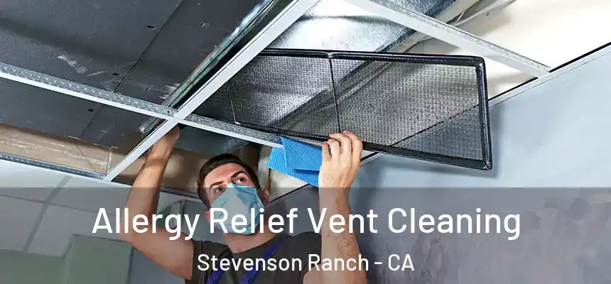  Allergy Relief Vent Cleaning Stevenson Ranch - CA