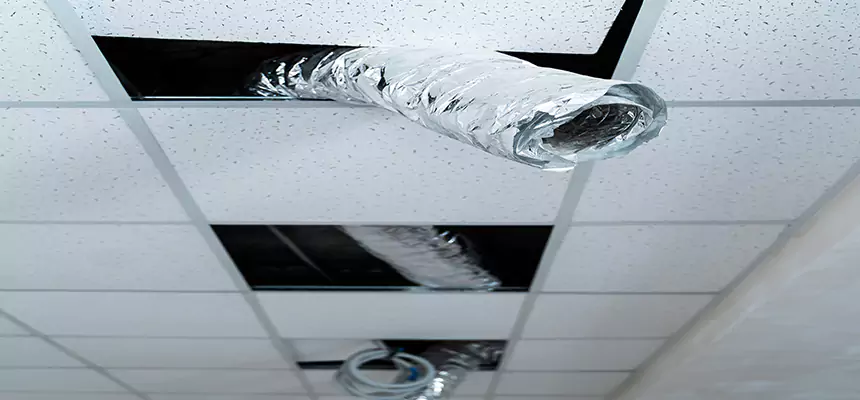 Affordable HVAC Sanitizing After Pest Removal in Stevenson Ranch