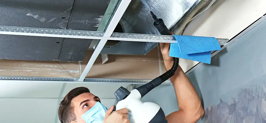Our Air Duct Rodent Removal Services in Stevenson Ranch, CA