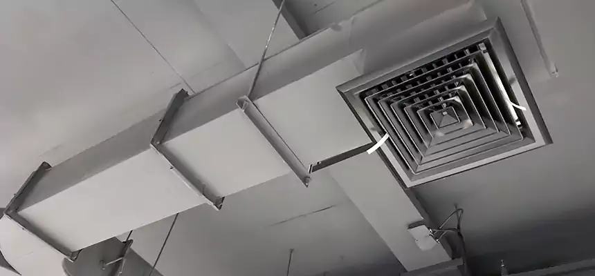 Restorative Allergy Relief Vent Cleaning – Coil, Blower & Housing Detail in Stevenson Ranch