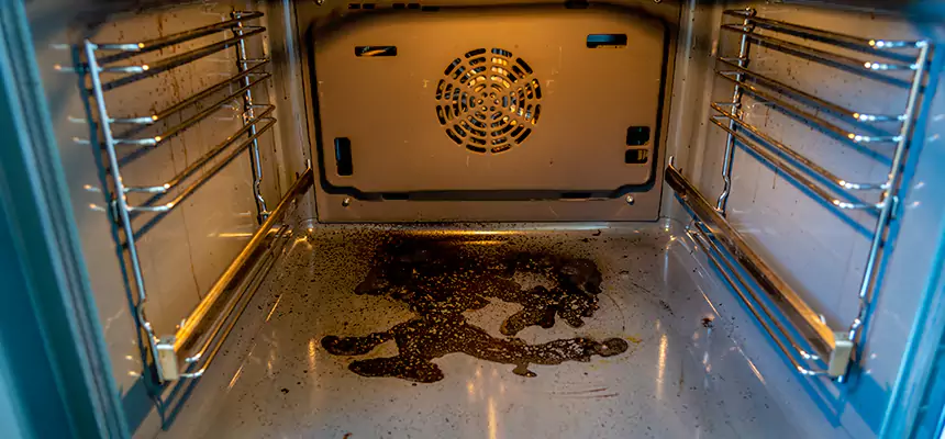 Our Dryer Vent Mold Cleaning Services in Stevenson Ranch, CA