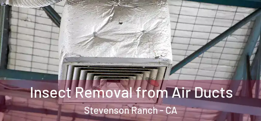  Insect Removal from Air Ducts Stevenson Ranch - CA