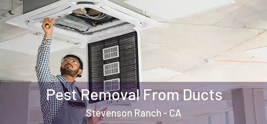  Pest Removal From Ducts Stevenson Ranch - CA