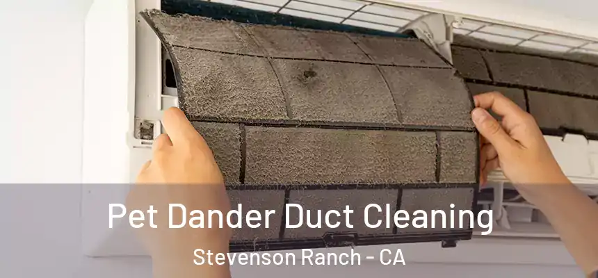  Pet Dander Duct Cleaning Stevenson Ranch - CA