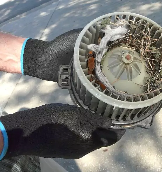 About Air Duct Mice Removal in Stevenson Ranch, CA